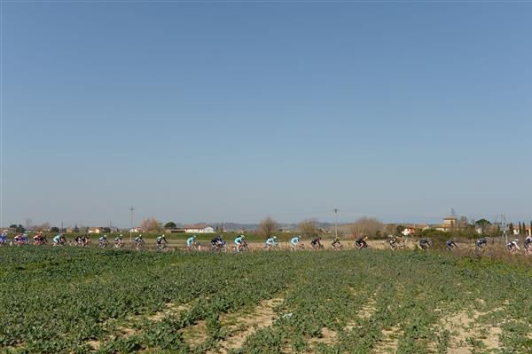 panorama